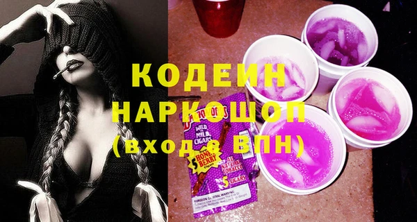 СК Няндома