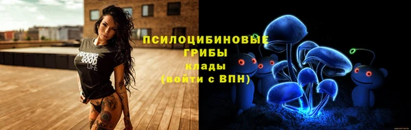 СК Няндома