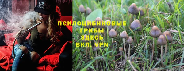 СК Няндома
