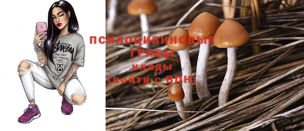 мдпв Сясьстрой