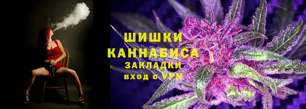 СК Няндома