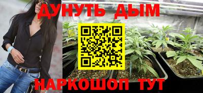 хмурый Дубна