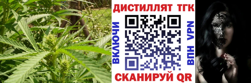 OMG tor  Ртищево  Дистиллят ТГК THC oil 