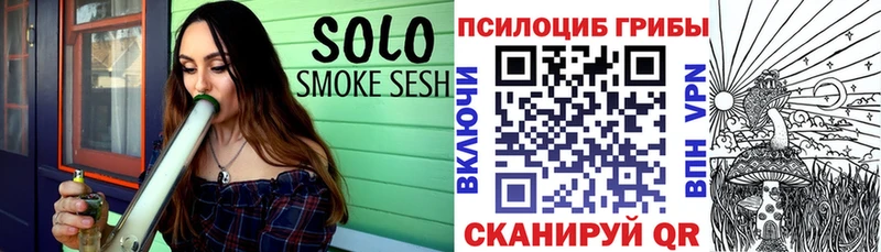 купить закладку  Ртищево  Псилоцибиновые грибы Psilocybe 
