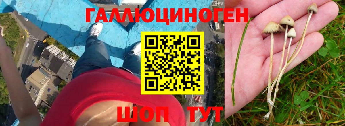 Псилоцибиновые грибы MAGIC MUSHROOMS  Вход с VPN  Псилоцибиновые грибы ЛСД  Ртищево 